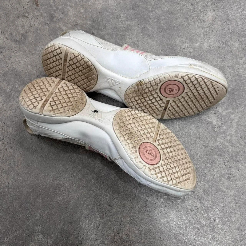 Nike trainer ballet flats pumps